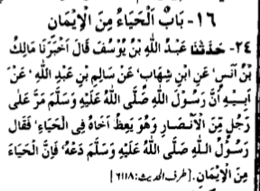 Haya Is A Part Of Faith – Haya Iman Ka Hissa Hai Haya Is A Part Of Faith – Haya Iman Ka Hissa Hai
