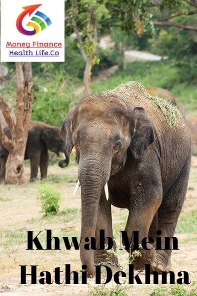 Khwab Mein Hathi Dekhna Khwab Mein Hathi Dekhna