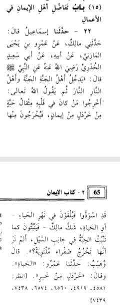 The grades in superiority of the believers will be according to their good deeds The grades in superiority of the believers will be according to their good deeds