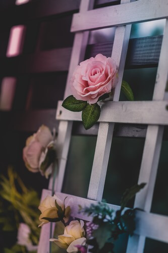Dua for Love Marriage Dua for Love Marriage