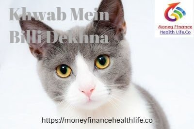 Khwab Mein Billi Dekhnay Ki Tabeer Khwab Mein Billi Dekhnay Ki Tabeer